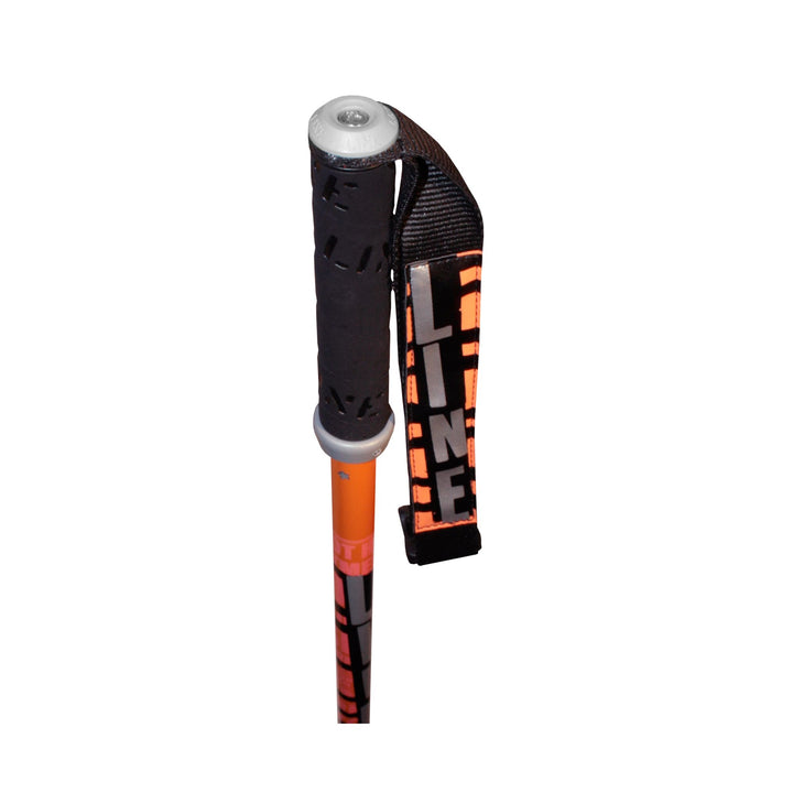 Line Skis Pin Ski Poles 2011