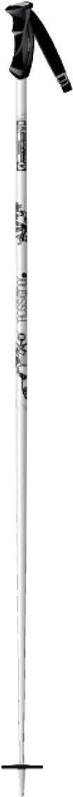 Rossignol Passion - Women's Ski Poles 2011 White