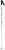 Rossignol Passion - Women's Ski Poles 2011
