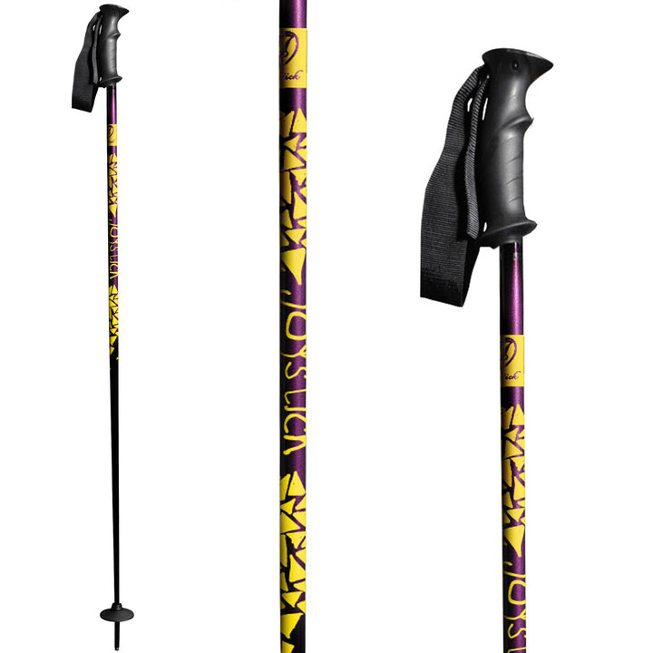 Joystick Rambis Ski Poles 2011