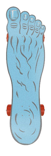 Santa Cruz Screaming Foot Right Skateboard Complete – evo