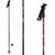 Dynastar Legend Ski Poles 2010 Black