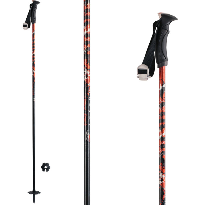 Dynastar Legend Ski Poles 2010