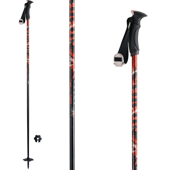 Dynastar Legend Ski Poles 2010