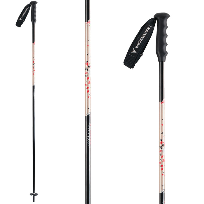 Dynastar 6th Sense Ski Poles 2010