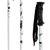 Joystick Skulls and Roses Ski Poles 2009