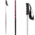Icelantic Signature Ski Poles 2011