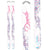 Dynastar Starlett Skis - Girl's 2011