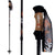 Salomon Element Vario Adjustable Ski Poles 2011