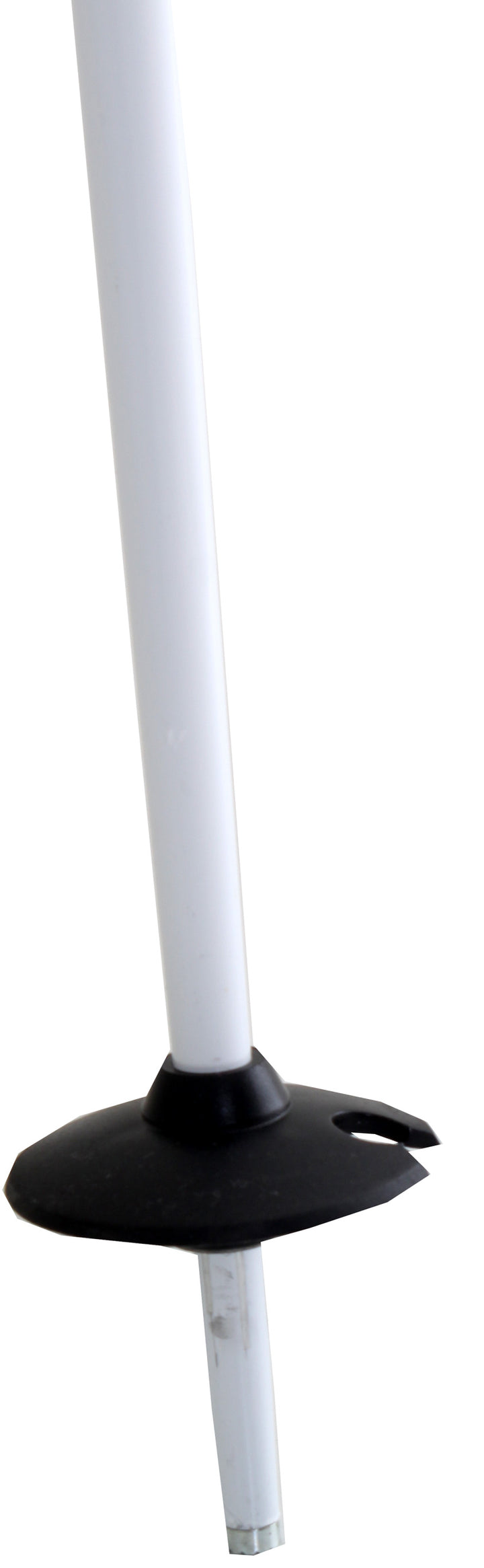 Salomon X-Wing Ski Poles 2011