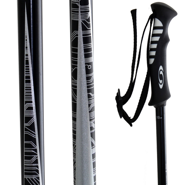 Salomon Arctic Ski Poles 2011
