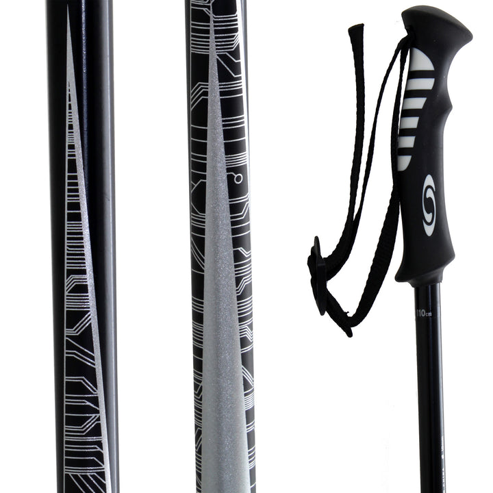 Salomon Arctic Ski Poles 2011