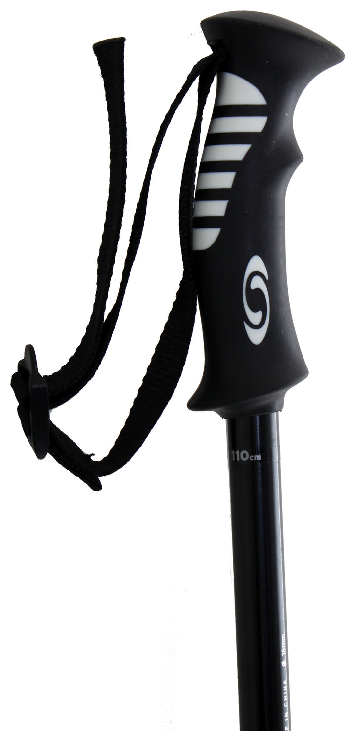 Salomon Arctic Ski Poles 2011