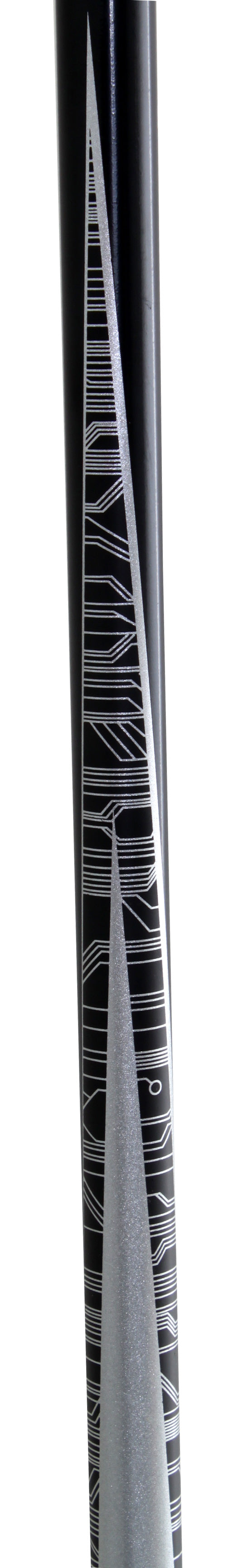 Salomon Arctic Ski Poles 2011