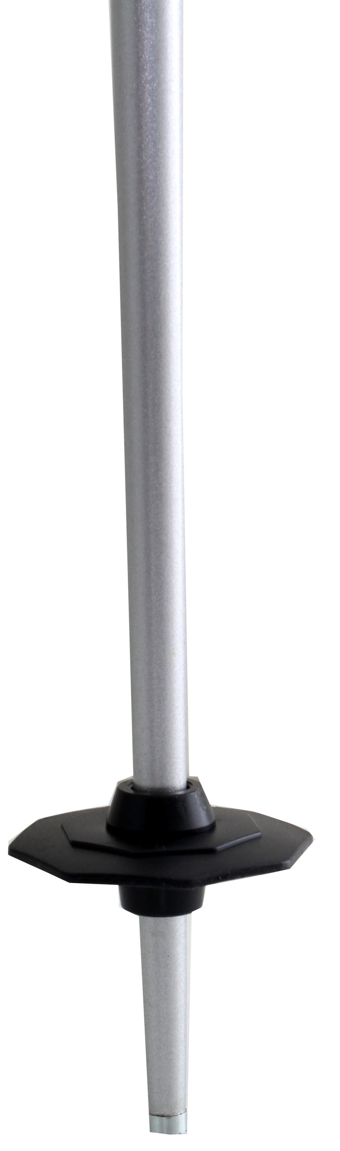 Salomon Arctic Ski Poles 2011
