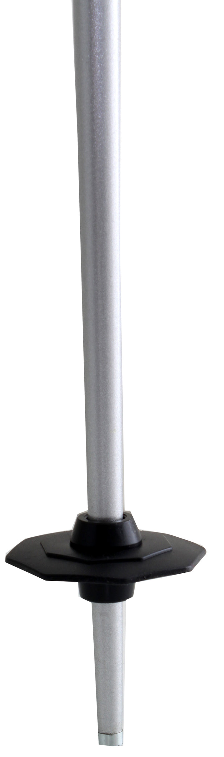 Salomon Arctic Ski Poles 2011
