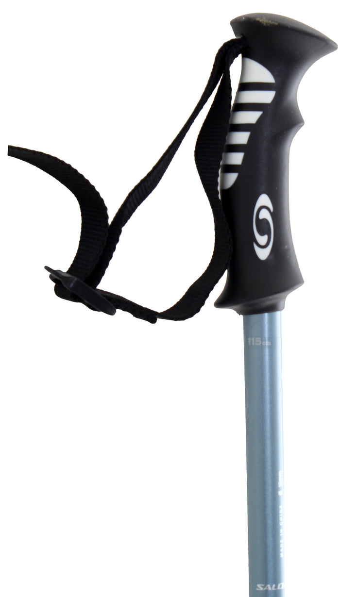 Salomon Arctic Ski Poles 2011