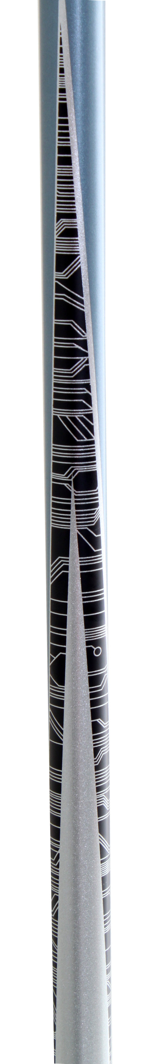 Salomon Arctic Ski Poles 2011