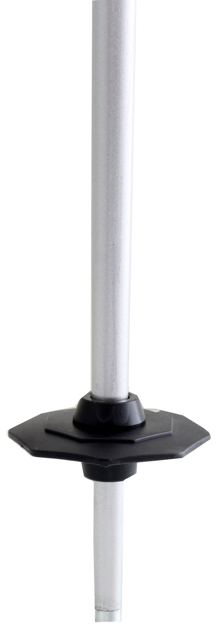 Salomon Arctic Ski Poles 2011