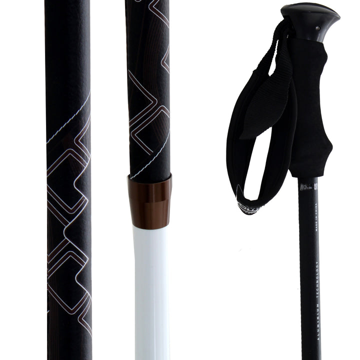 Salomon Divine Origins - Women's Ski Poles 2011