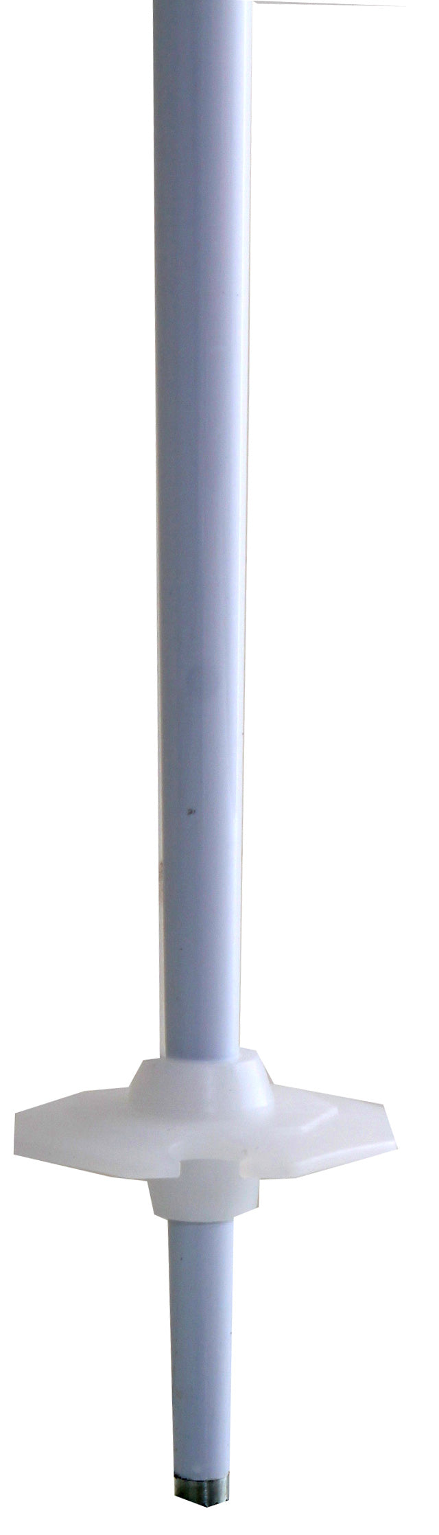 Salomon Divine Origins - Women's Ski Poles 2011
