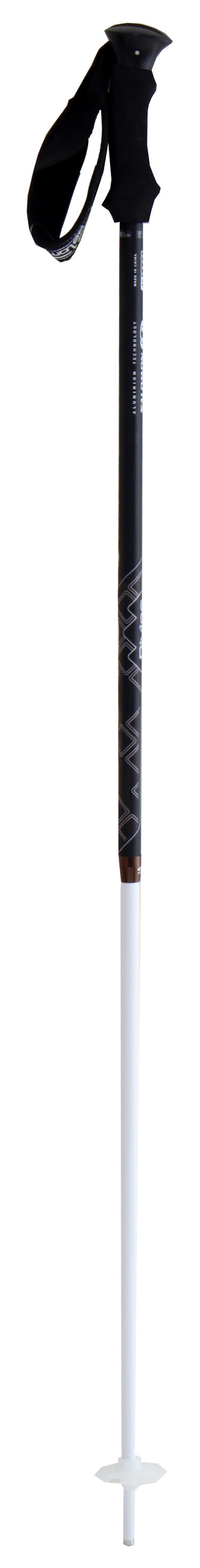 Salomon Divine Origins - Women's Ski Poles 2011