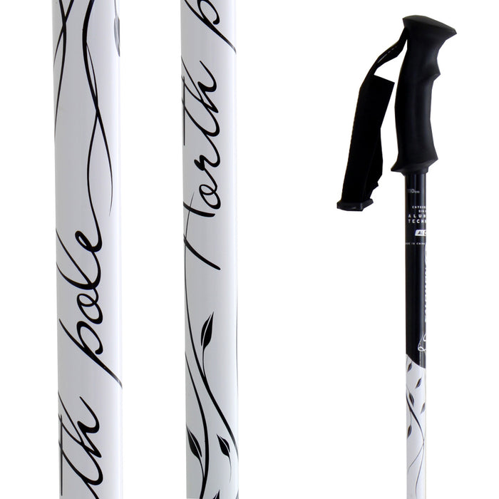 Salomon Northpole Origins - Women's Ski Poles 2011