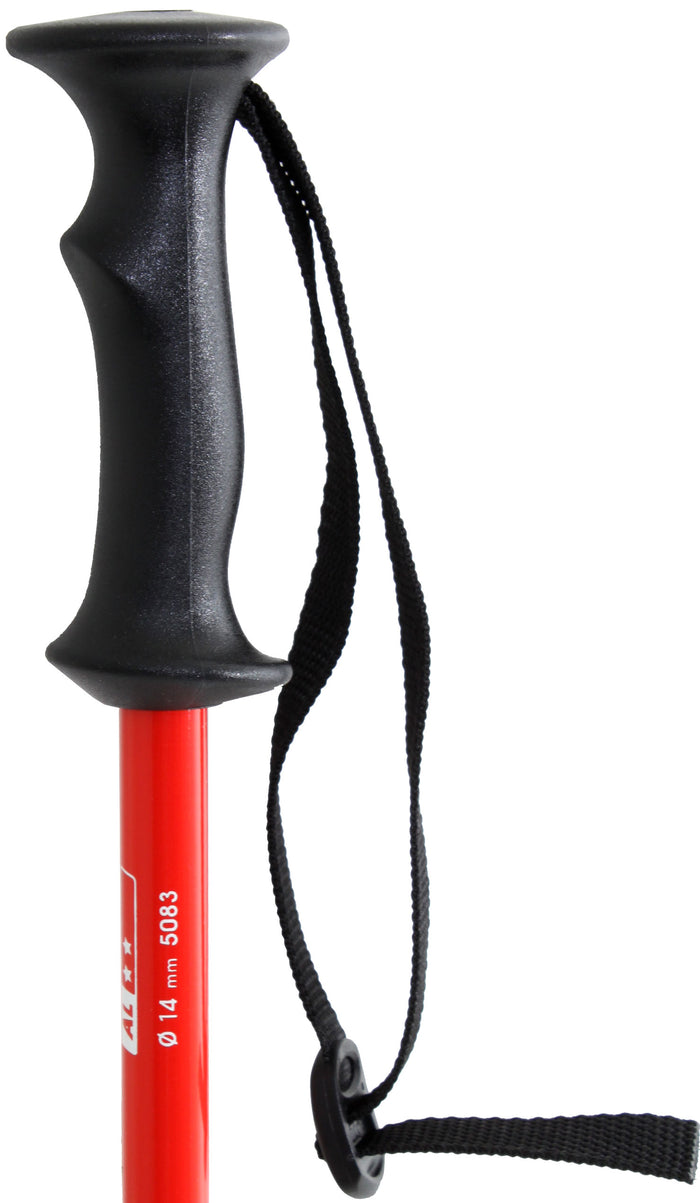 Salomon X-Wing Jr - Youth Ski Poles 2011