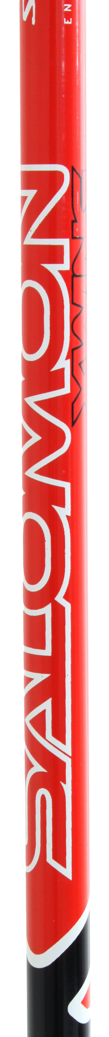 Salomon X-Wing Jr - Youth Ski Poles 2011