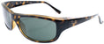 Ray Ban RB 4119 Sunglasses