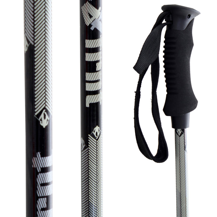 4FRNT Crossfade Ski Poles 2011