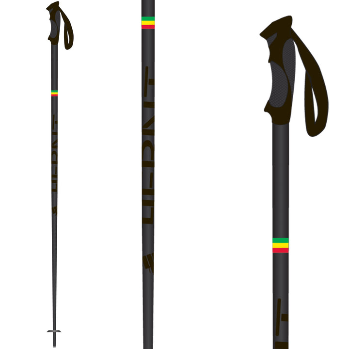 4FRNT Signature Ski Poles 2011 Rasta