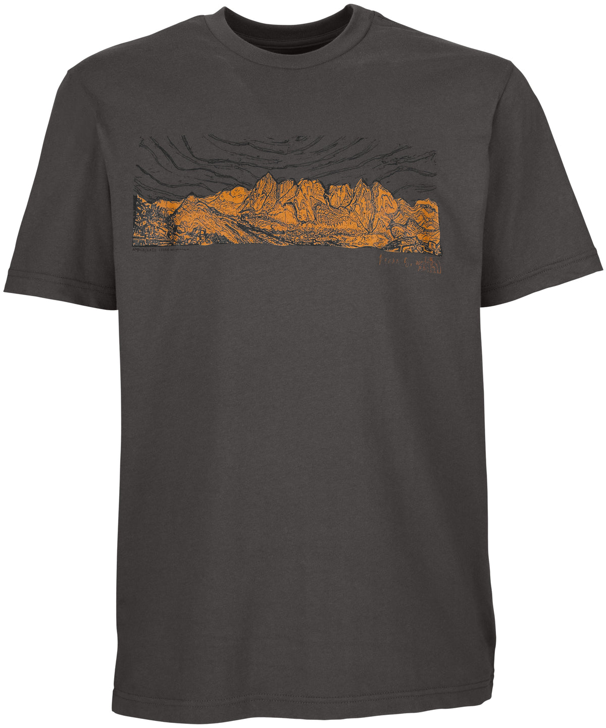 The North Face Back Eddy T Shirt Graphite Grey