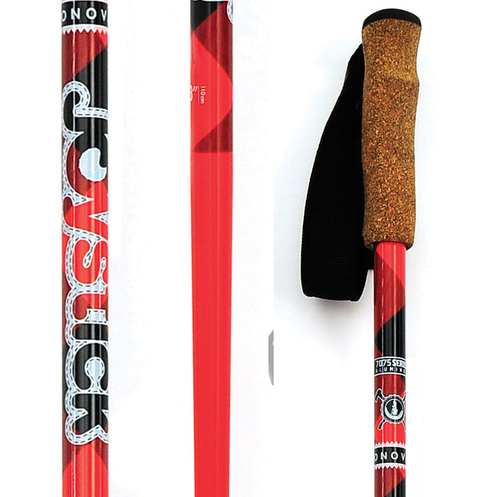 Joystick Donovan Ski Poles 2012