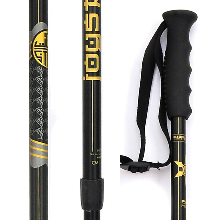 Joystick Pep Fujas Ski Poles 2012