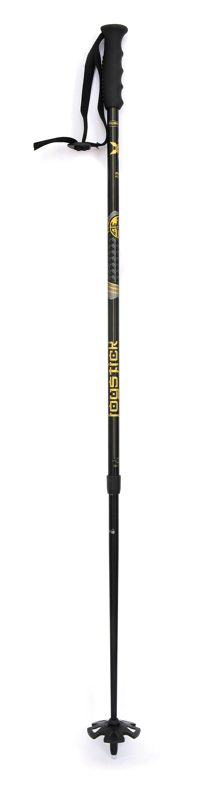 Joystick Pep Fujas Ski Poles 2012