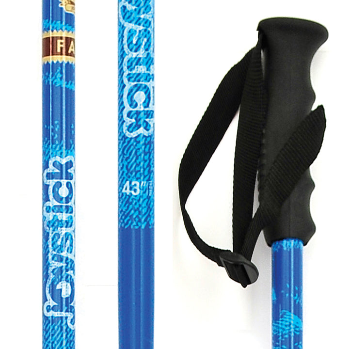 Joystick Fame Ski Poles 2012 Blue