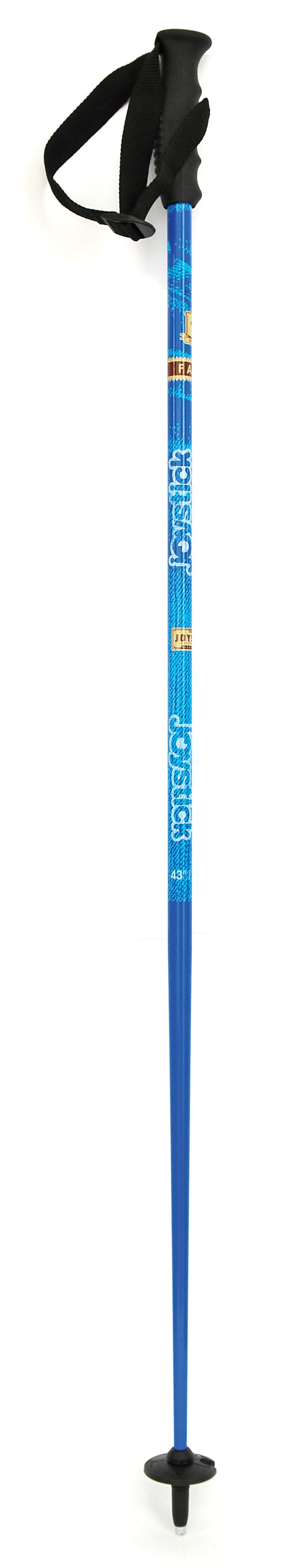 Joystick Fame Ski Poles 2012
