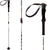 Dynafit Se7en Summits Carbon-Titanal Telescopic Ski Poles 2012 Brown/White