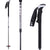 Leki Mountain Lite Carbon Ski Poles 2011