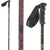 Scott Dumont Ski Poles 2012 Black