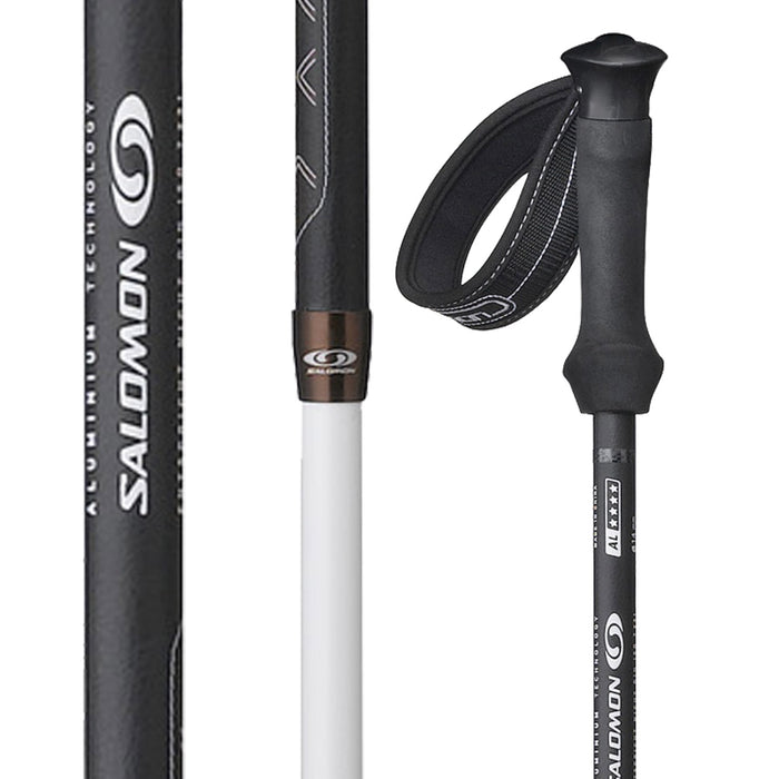 Salomon Divine Origins - Women's Ski Poles 2012