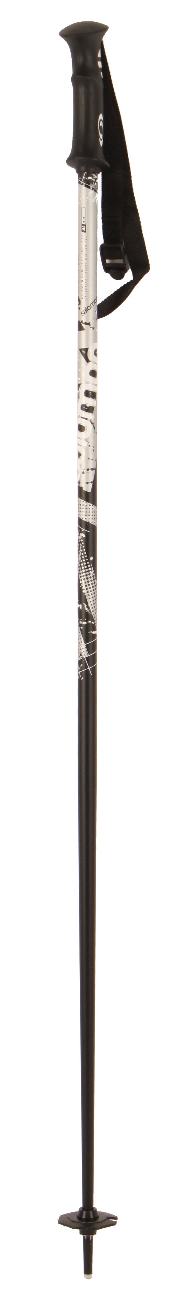 Salomon Arctic Ski Poles 2012 Black/Silver