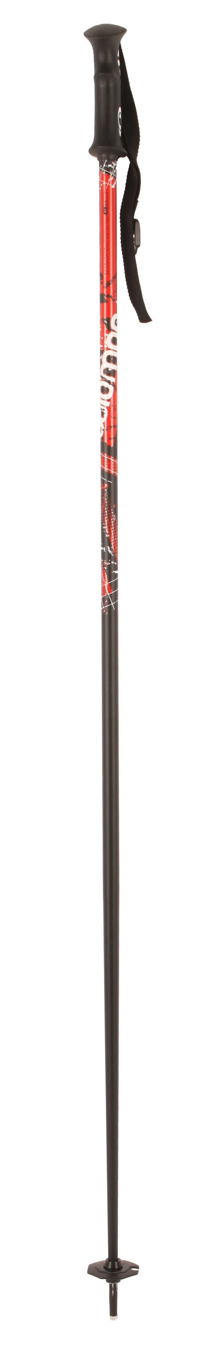 Salomon Arctic Ski Poles 2012