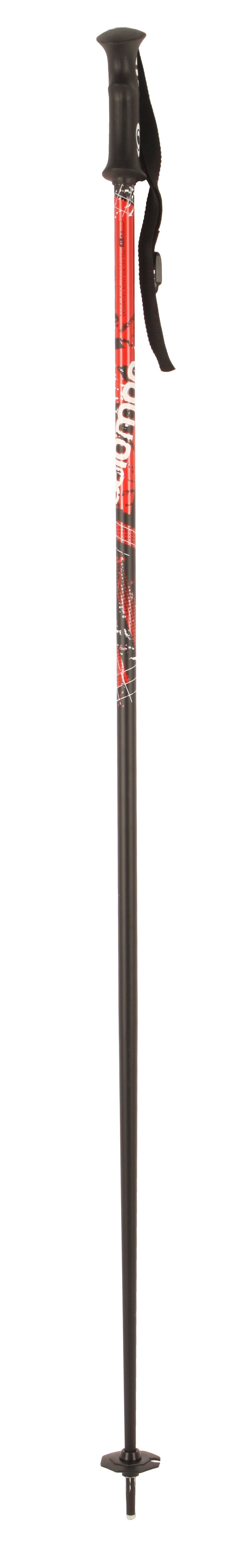 Salomon Arctic Ski Poles 2012