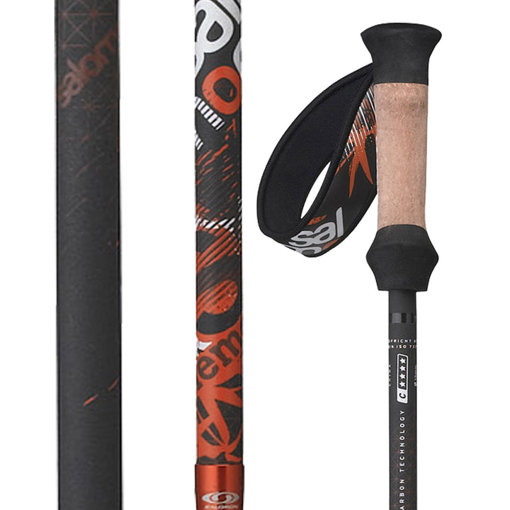 Salomon Element Ski Poles 2012