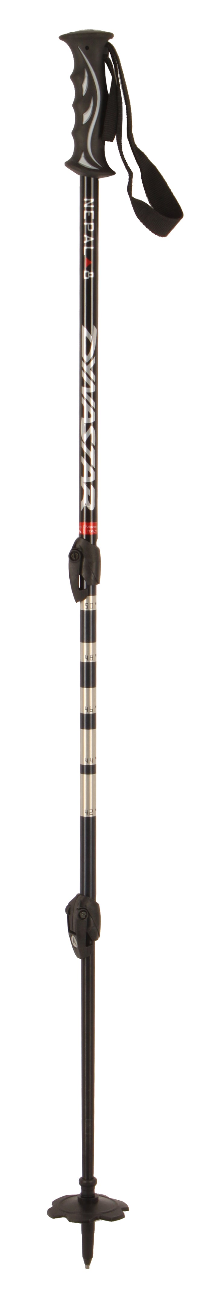 Dynastar Nepal 8 Adjustable BC Ski Poles 2010