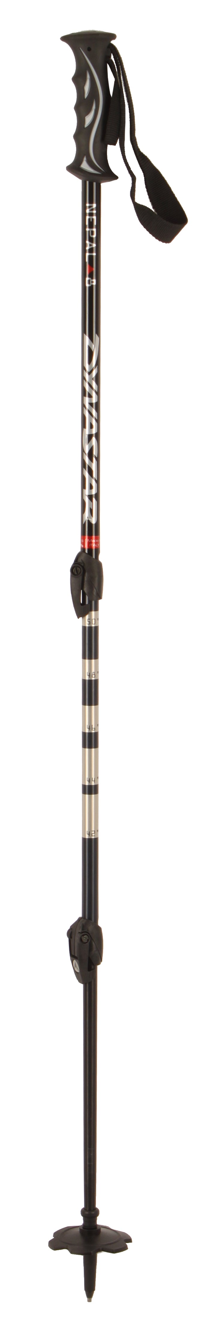 Dynastar Nepal 8 Adjustable BC Ski Poles 2010