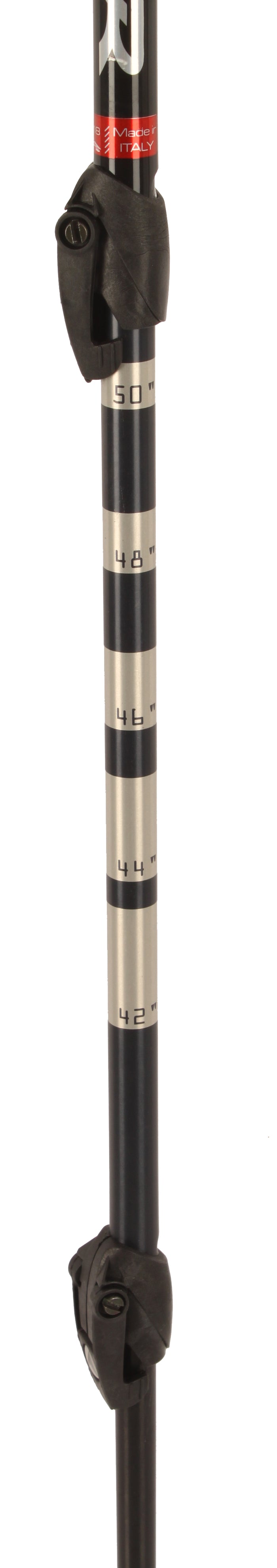 Dynastar Nepal 8 Adjustable BC Ski Poles 2010