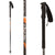 Dynastar Cham BC Ski Poles 2010 Black